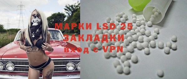 ALPHA PVP Инсар
