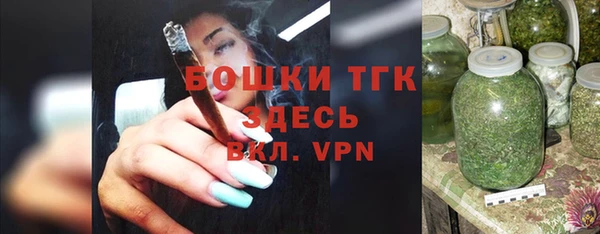 ALPHA PVP Инсар