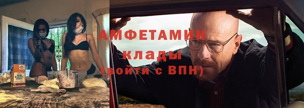 крисы Инта