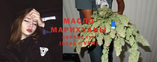 крисы Инта