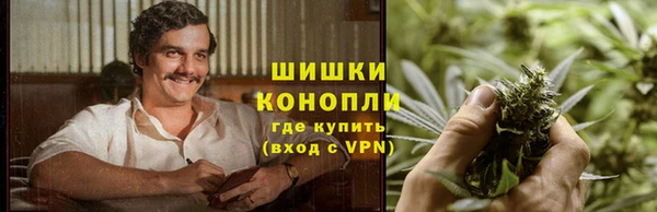 крисы Инта