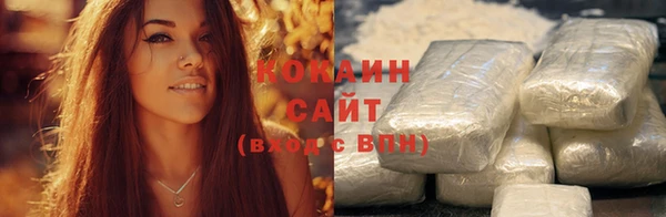 крисы Инта