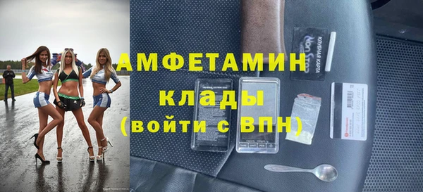 крисы Инта