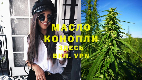 крисы Инта