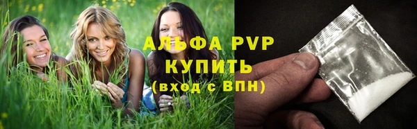 крисы Инта
