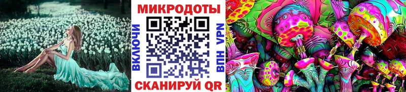 Купить закладки  Верхний Уфалей  Галлюциногенные грибы ЛСД 